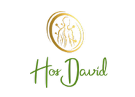 Hos David ApS